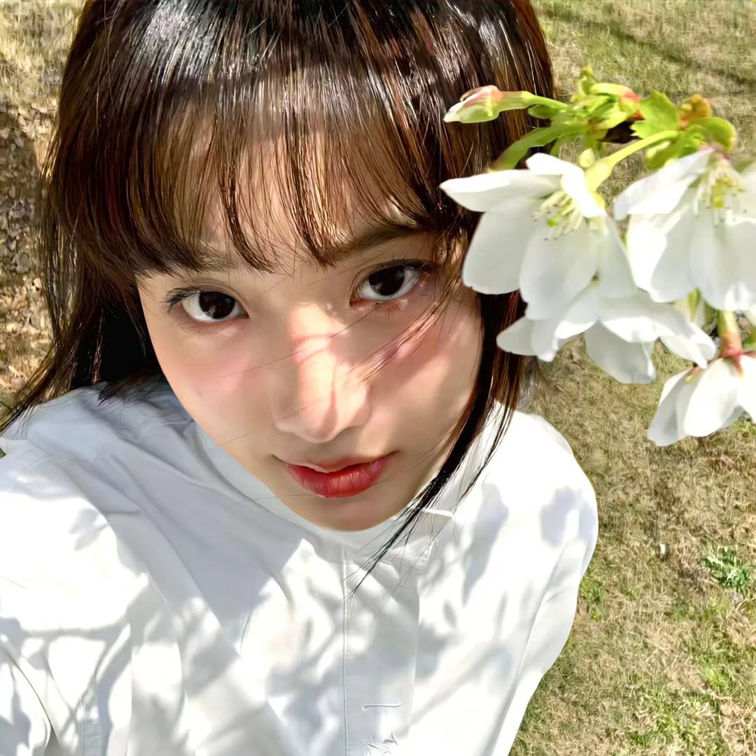 仙女特攻队